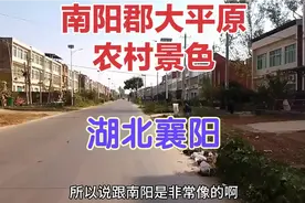 两汉时期汉江以北南阳郡大平原农村景色，如今已是湖北襄阳的地盘视频封面