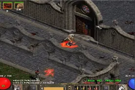 暗黑破坏神2德鲁伊变饿狼，加强了狂暴伤害，拿出实力打赢BOSS！