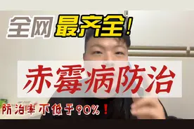 防治赤霉病！时间，用药，注意事项，都在这里了！视频封面