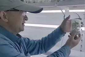 第十六集——烟丝泡水杀虫配制方法视频封面