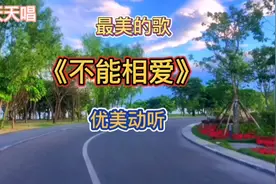 《不能相爱》优美动听