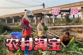 进城务工的二哥二嫂，一有空便到田间地头走走，农村才是他们的家视频封面