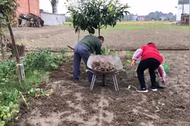 女儿三十岁一事无成，却还要让父母照顾，父母的做法让女儿愧疚