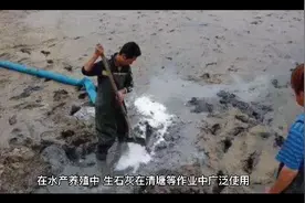 生石灰在水产养殖上的六大功效！收藏了视频封面