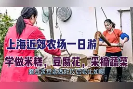 上海近郊农场一日游去学做米糕，豆腐花，採摘蔬菜视频封面