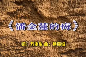 网络情歌《潘金莲的悔》，潘金莲是多么的后悔，听听这首歌。