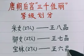唐朝后宫“三千佳丽”的等级划分，你知道吗？看到涨知识了视频封面