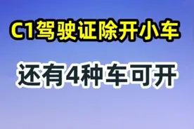 c1驾驶证除了可以开小车外，还有4种车可以开，快来了解下