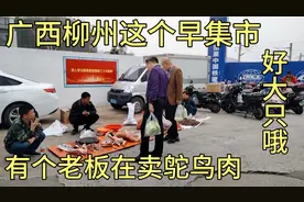 广西柳州这个早集市，有个老板在卖鸵鸟肉呢 ，好大一只哦！视频封面