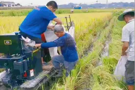 中国研发的水稻收割机，适合山区农村使用视频封面