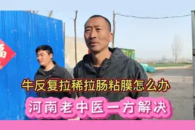 牛反复拉稀拉肠粘膜怎么办？河南老中医一方解决。