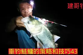 夏季夜钓鲢鳙究竟选择前半夜还是选择后半夜？看完视频你就明白了视频封面