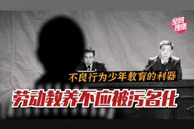 劳动教养不应被污名化：不良行为少年教育的利器视频封面