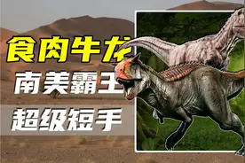 7000万年前的南美霸主，头顶着牛角的食肉牛龙，与霸王龙平分天下
