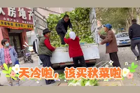 十月份秋菜上市了，买菜的人越来越少啦，看看长春的秋菜便宜吗？视频封面
