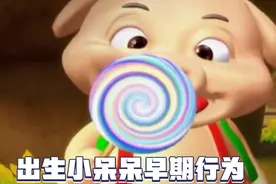 原来这就是小呆呆出生的原因