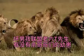 大象平原之战后，分析坏男孩联盟老六T先生有没有杀大哥们的幼崽视频封面