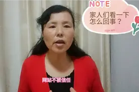 头条个人主页在电脑上进不去了，家人们看一下怎么回事？