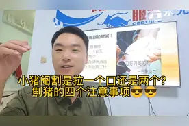 小猪阉割是拉一个口还是两个口？劁猪的四个注意事项🤓🤓视频封面