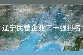 辽宁民营企业二十强排名？视频封面