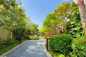 三亚海棠湾独栋别墅 地上两层 五个房间 独门独院住得太舒服了视频封面