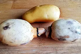 今天才知道，莲藕加土豆这么好吃，营养解馋，吃着特别过瘾，真香