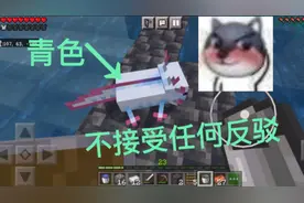 这到底是什么颜色啊！视频封面