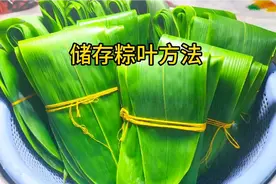分享储存粽叶方法，粽叶保持碧绿清香不易破，实现一年包粽子自由视频封面