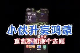 华为mate30升级完鸿蒙，小伙直言不如换个主题视频封面