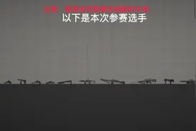 甜瓜游乐场.每把枪可以穿透几个木板（1）