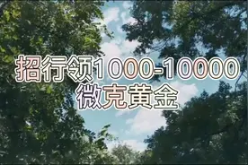 领1000-10000微克黄金，可直接提！视频封面