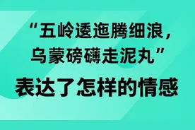 “五岭逶迤腾细浪，乌蒙磅礴走泥丸”表达了诗人怎样的情感？