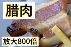腊肉放大800倍，看完你还敢吃吗？腊肉真的会致癌吗关注我告诉你视频封面