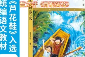 曹文轩《青铜葵花》视频封面