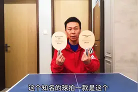 乒乓球教学：蝴蝶泰克西姆和维斯卡尼亚对比深度评测！
