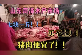 山东菏泽水产市场，猪肉便宜了，六七块钱一斤！去晚了没买到！！视频封面