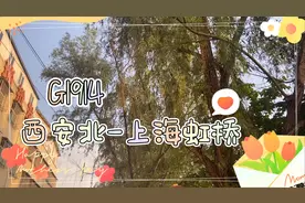 G1914，西安北开往上海虹桥，历时7个小时13分钟，1509公里视频封面