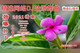 杨总[抖音快手网络DJ劲爆十首情歌