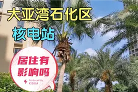 住惠州大亚湾没面子吗？石化区核电站有影响吗？红茶姐聊居住感受视频封面