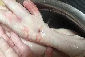 前几天菜市场买的鸡爪，鸡爪上的眼原来是宰杀时挂钩留下的