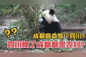 全网沸沸扬扬的成都在吸血整个四川？四川：我不认同视频封面