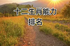 十二生肖能力排名，看看你排第几？视频封面