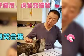 大型真香现场，这就是一开始不让你养猫的爸妈，结果比谁都喜欢！视频封面