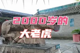 月亮姐姐来太原听讲座，遇见一只2000年的大老虎，牙齿尖尖头大大视频封面