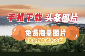 手把手教您用手机下载头条图库中免费海量图片 头条创作者太幸福视频封面
