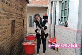 杀鸭子再也不用怕杀不死了，老一辈的杀鸭方法真牛，一招就搞定了