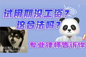 法律科普：试用期没有工资合法吗？应该怎么维权？视频封面
