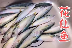潮汕婆婆分享花仙鱼做法，肉质鲜嫩又营养，不煎不煮只需一把粗盐