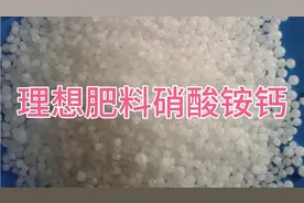 效果明显的硝态氮肥料硝酸铵钙