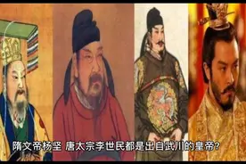李世民与武川的关系视频封面